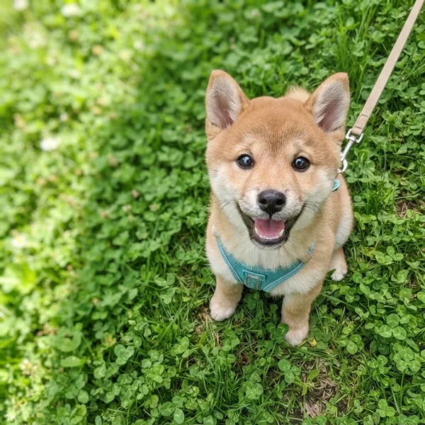 この写真から