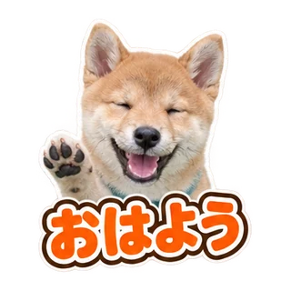 おはよう