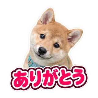 ありがとう