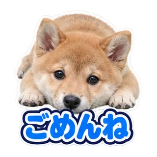 ごめんね