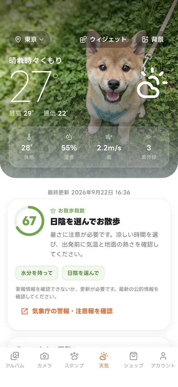 天気の画面。柴犬の写真を背景に、気温とお散歩指数が表示されている